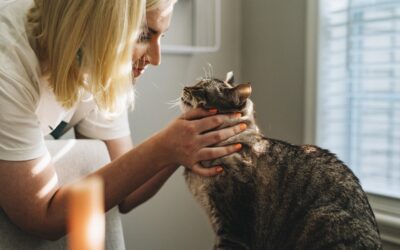 Sinais de que Seu Pet Precisa de Atenção Veterinária
